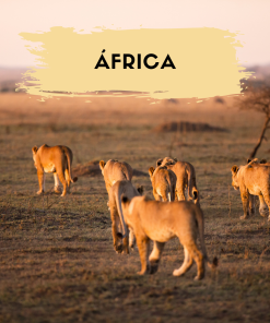 África